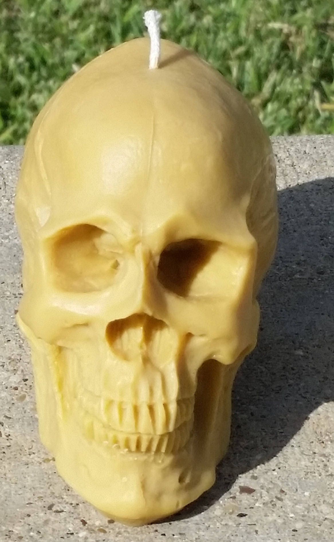 8 oz. Scented & unscented soy Skull candle Free Domestic Shipping to the USA