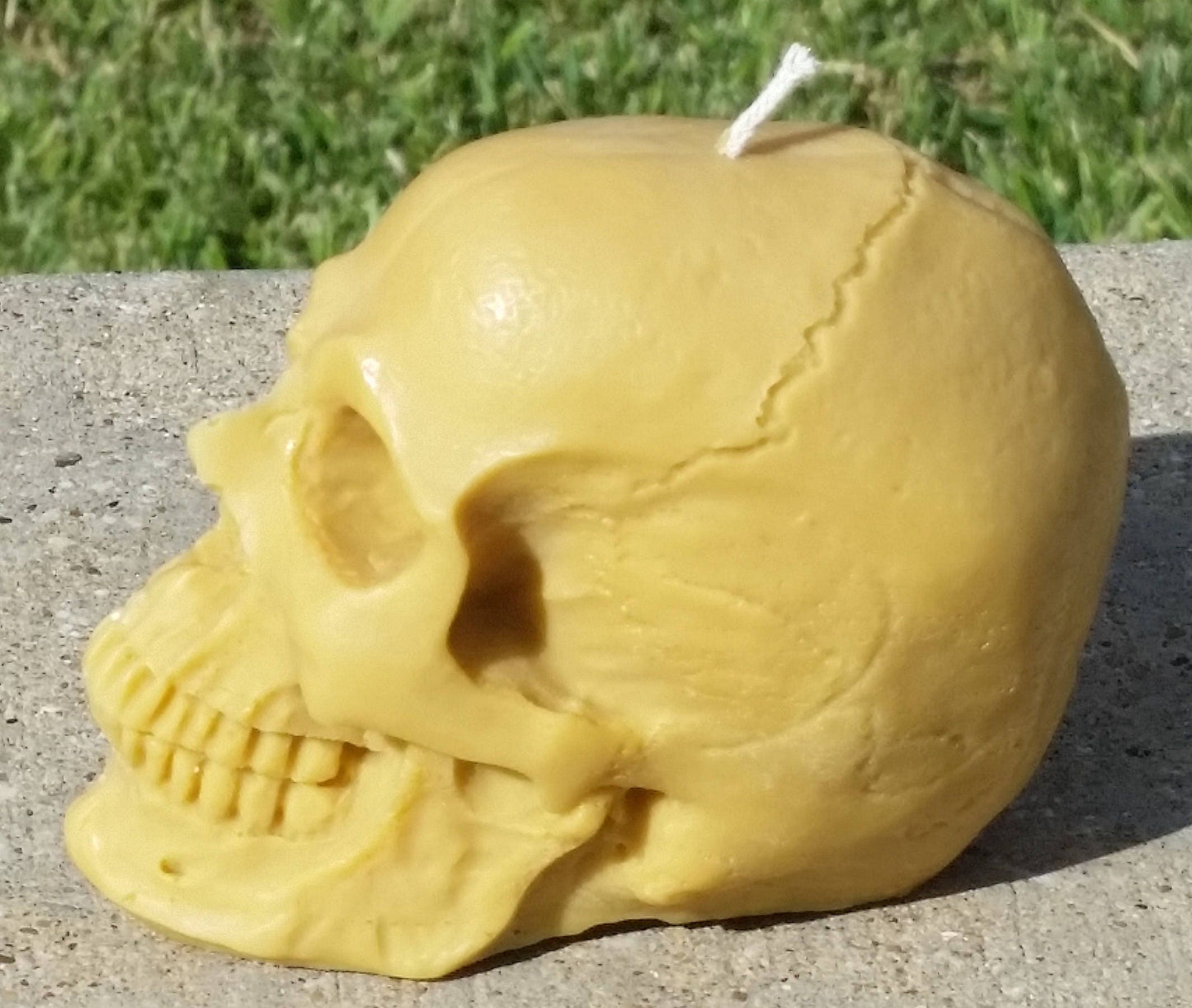 8 oz. Scented & unscented soy Skull candle Free Domestic Shipping to the USA